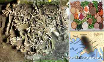 Men and women of Roman Herculaneum had 'very different diets'