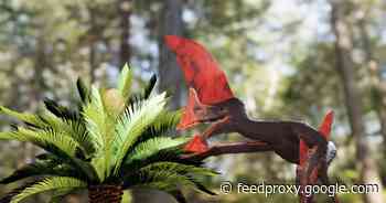 Police raid unearths prehistoric flying reptile in remarkable condition     - CNET