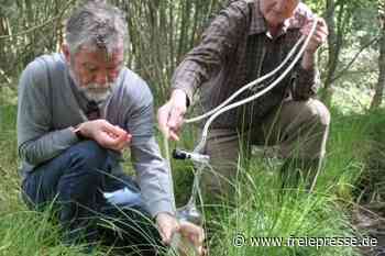 Forscher geht Erdbeben auf den Grund - Freie Presse