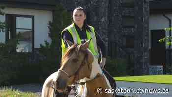 'You don’t see this every day': Canada Post carrier delivers mail by horse in Saskatoon