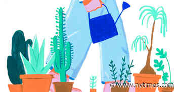 Negotiating the End of Summer