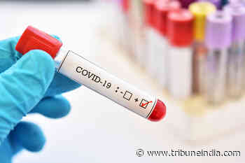 Nepal reports 2,482 new cases of coronavirus infections: Health Ministry - The Tribune India