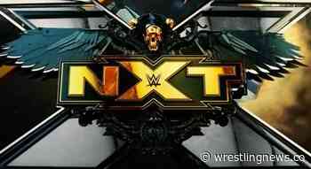 WWE NXT 8/24/21 ratings rise for TakeOver 36 fallout - Wrestling News