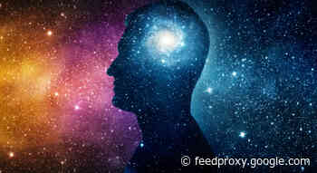 Your Brain Is Not a Computer. It Is a Transducer