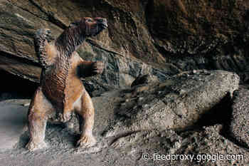 Here Are Some of Darwin’s Strangest Animal Discoveries