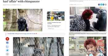 Adies contactverbod met chimpansee Chita is wereldnieuws | Antwerpen | hln.be - Het Laatste Nieuws