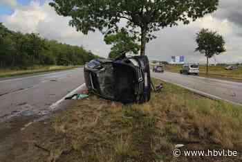 Automobilist ramt boom op middenberm in Lommel: twee inzittenden gewond - Het Belang van Limburg
