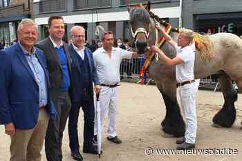 Trekpaardkampioenen gehuldigd
