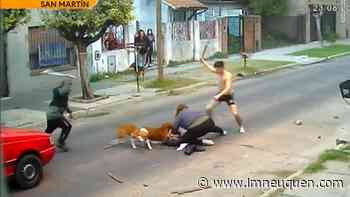 Buenos Aires: una mujer fue atacada ferozmente por tres perros - LM Neuquén