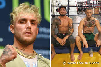 Jake Paul shuts down fighting Conor McGregor’s training partner Dillon Danis but could ‘handle that one in... - The US Sun
