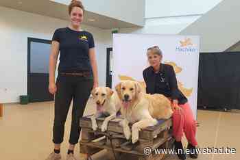 Bij wie mogen hondjes Xia en Xeppe op vakantie? “Een tuin hebben is een pluspunt”