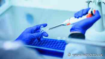 What would proof of a Covid lab leak look like?