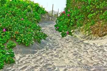 Rhode Island Department of Health Closes Four Beaches To Swimming - Newport Buzz