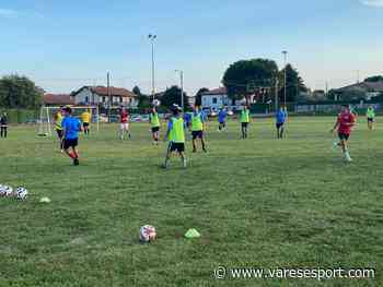 L'Ispra di Pasetti è al lavoro. Genco: “Campionato d'alta classifica, mina vagante del girone” - VareseSport