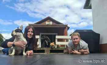 Putzleinsdorfer sind bei TV-Format „Schrauben, sägen, siegen“ mit dabei - Tips - Total Regional