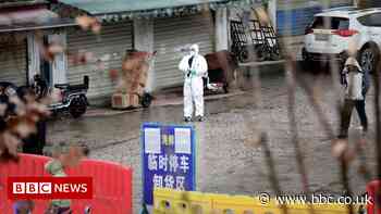 Search for Covid's origins stalled, scientists say