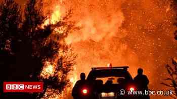 Climate change: Europe's 2020 heat reached 'troubling' level