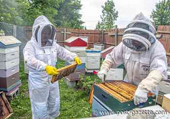 At Kane Woods Nature Area, volunteer is her buzzers' keeper
