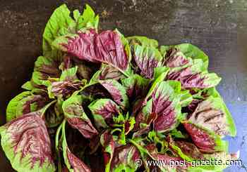 Fresh find: Callaloo at farmers markets