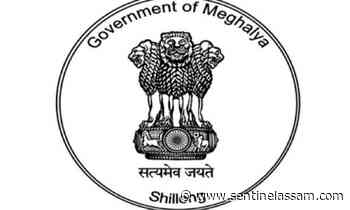 ARC Happy Valley Recruitment 2021: 03 Barber, Gardener and Tailor Vacancy, Job Openings - Sentinelassam - The Sentinel Assam