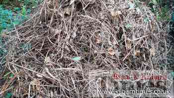 Cricklewood gardener slams Barnet Council waste claims - Kilburn Times