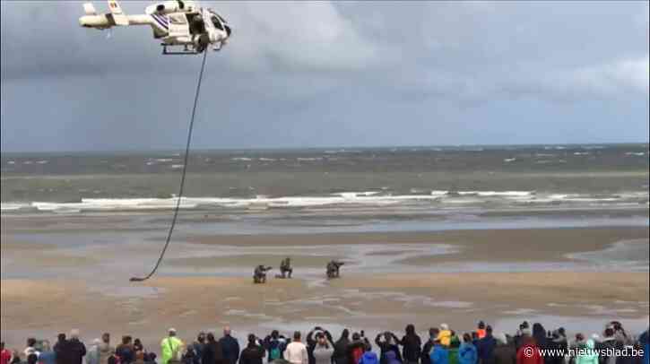Brandweer, politie, defensie en douane strijken neer op strand voor indrukwekkende demonstratie: “Willen het belang van veiligheidshonden benadrukken”