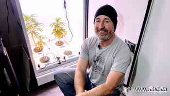 Cannabis N.B. to let local producers set up retail shops