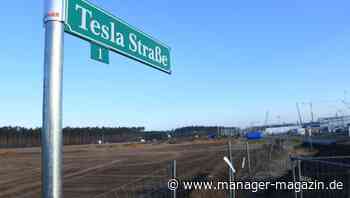 Tesla-Fabrik in Grünheide: Mehr als 800 Einwendungen von Bürgern gegen Bau