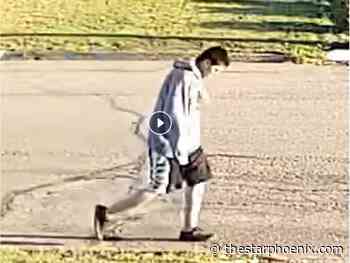 Elderly Battleford man injured by would-be truck robber, RCMP investigating