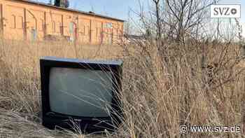 Sommerputz in Parchim: Stadt ruft Bürger auf, für den Kreisgeburtstag zu putzen | svz.de - svz.de