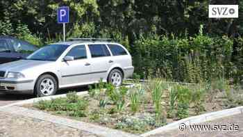 Naturschützer in Parchim: Ist Stadtgrün wichtiger als Parkplätze? | svz.de - svz – Schweriner Volkszeitung