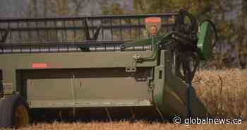 Harvest continues despite significant rainfall in Saskatchewan