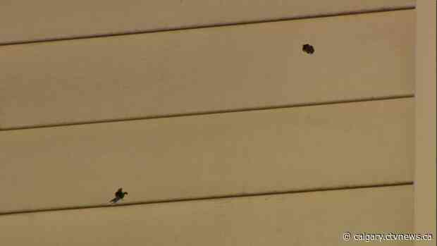 Northeast home hit with bullets, police investigating