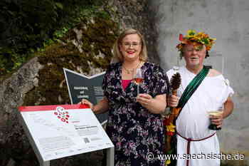 Riesa: Ex-Weinkönigin ist die Stimme für Diesbar-Seußlitz - Sächsische.de