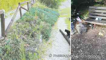 Staccionate rotte e rifiuti sul prato: tornano i vandali al parco di via Dante - Il Messaggero Veneto