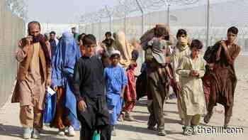 Democratic lawmakers urge DHS to let Afghans stay in US