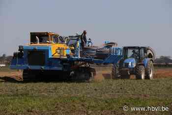 Primeur in Kinrooi: gezuiverd rioolwater als bron van water voor landbouw - Het Belang van Limburg