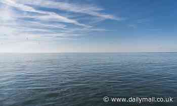 Nearly 95% of Earth's oceans could be  less hospitable to life by the end of the century, study says