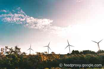 7 Steps to Make Your Business More Environmentally Friendly