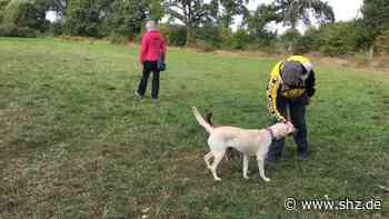 Tornesch: Aus für geduldeten Hundeauslauf Kleine Twiete: Wiese wird aufgeforstet | shz.de - shz.de