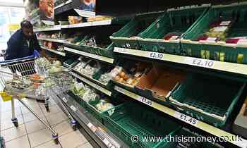A quarter of food and hospitality firms hit by low stock levels - This is Money