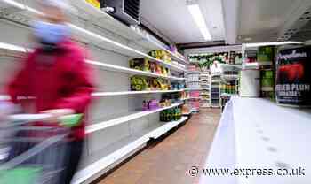 'Stop being a sore loser' - Remoaners mocked for blaming UK food shortages on Brexit - Daily Express