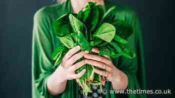 OK, I admit it — I throw food away. But at least I won't get fat now - The Times