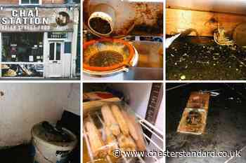 Rat-infested Chester vegan restaurant was immediately shut down by food hygiene inspectors - The Chester Standard