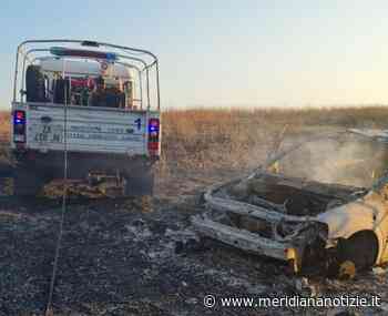 Ardea, scoppiano 3 roghi tra Tor di Bruno e le Salzare: 9 ore di interventi per le bonifiche - MeridianaNotizie