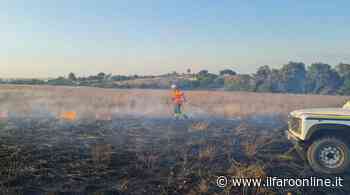 Ardea, incendio nei campi di via Monti di Santa Lucia: bruciano alberi e immondizia - Il Faro online