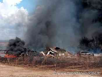 Ardea, fiamme in via Casali della Pescarella: a bruciare campi di sterpaglie, un fienile e carcasse auto - MeridianaNotizie