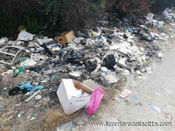 Ardea, discariche a cielo aperto: «Caro Mario Savarese…», i consiglieri d'opposizione scrivono al Sindaco - Il Corriere della Città