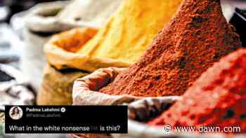 Washington Post columnist faces the internet's fury after claiming Indian food is 'made up of only one spice' - DAWN.com