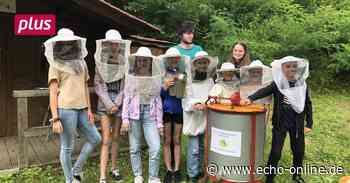 Ferienspiele in Heppenheim kommen gut an - Echo-online